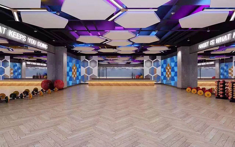 健身會(huì)所設(shè)計(jì) 健身會(huì)所設(shè)計(jì)